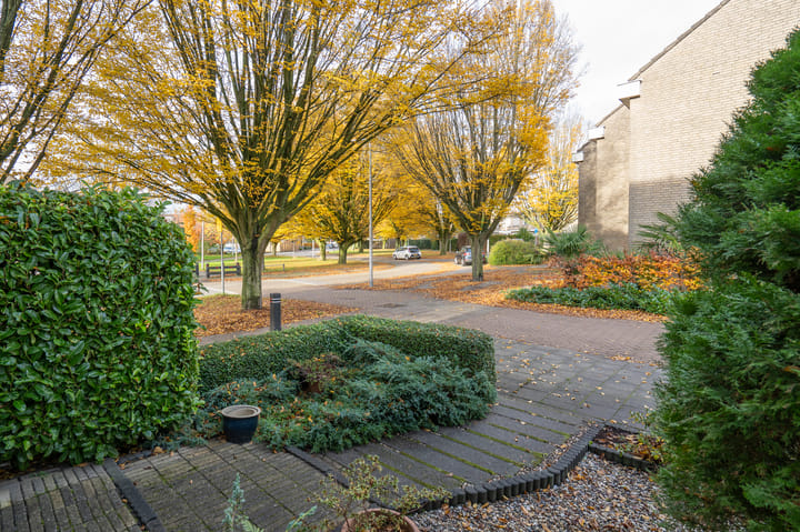 Foto 31 van Prickwaert 1