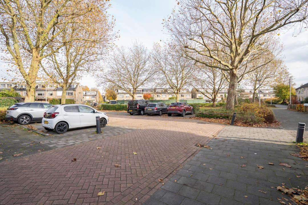 Foto 32 van Prickwaert 1