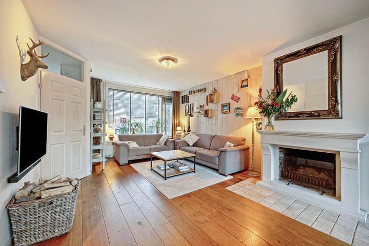 Foto 4 van Delfland 4