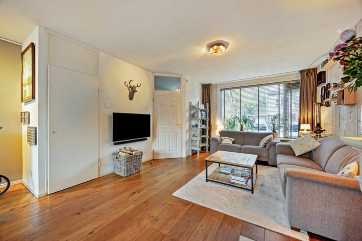 Foto 5 van Delfland 4