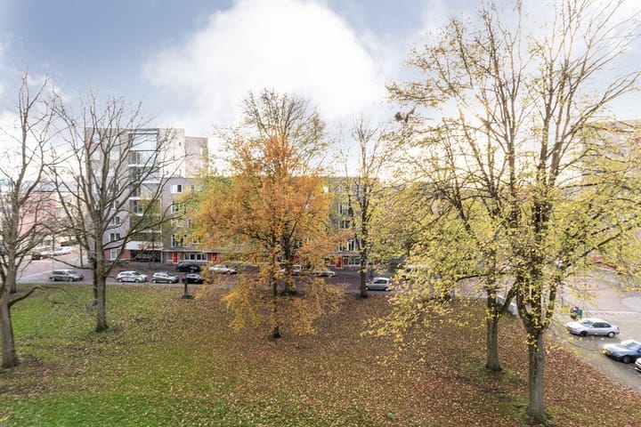 Foto 4 van Ierlandstraat 90