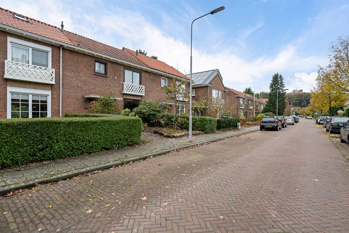 Bekijk foto 44 van Mozartstraat 11