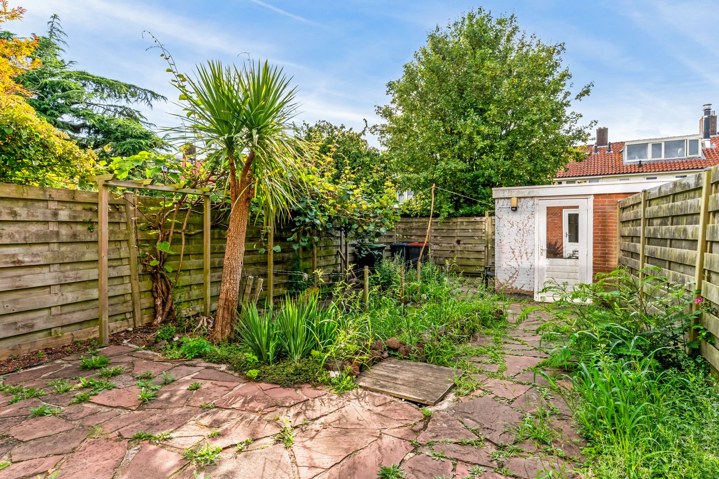 Foto 20 van Colijnlaan 32