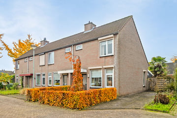 Meester Hermansstraat thumbnail