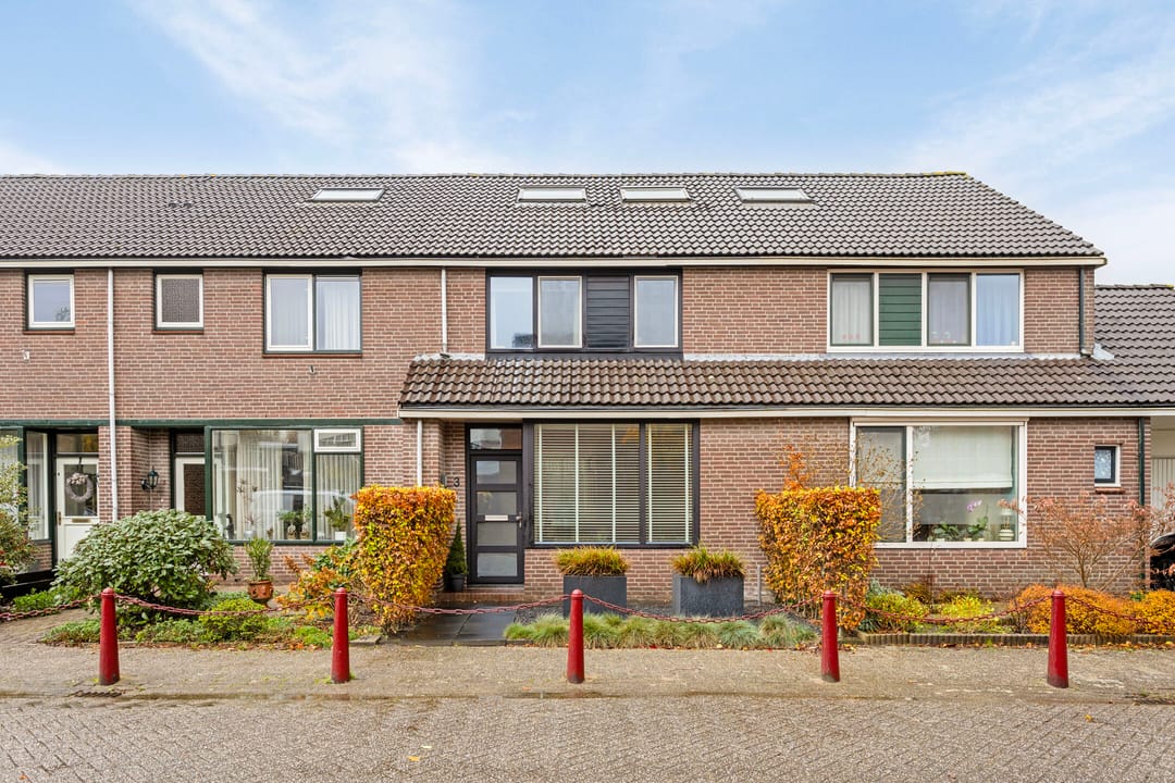 Foto 1 van Goudmos 3