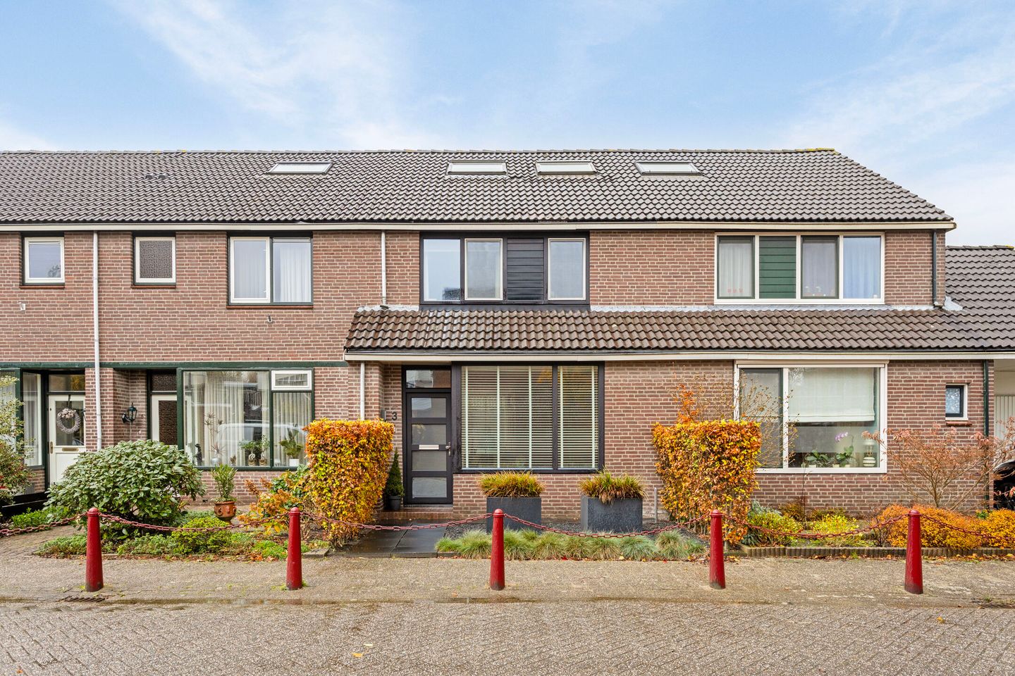 Foto 1 van Goudmos 3