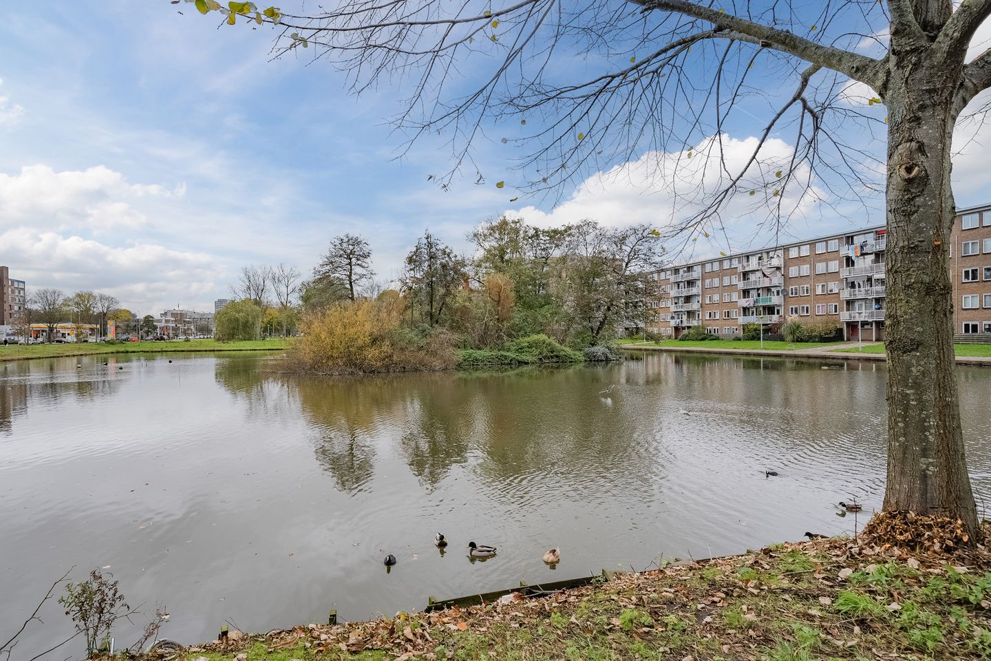 Foto 4 van Dinkelstraat 29