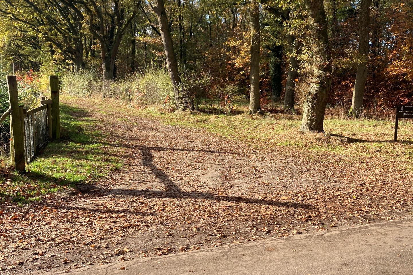 Bekijk foto 2 van nabij Aan de Kerkhof