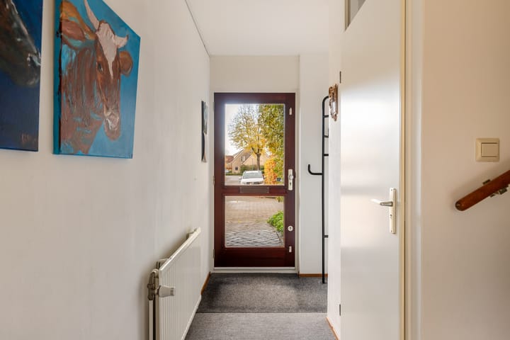 Foto 7 van Skûtsje 29