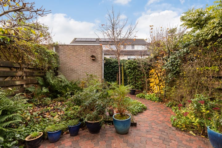 Foto 18 van Skûtsje 29