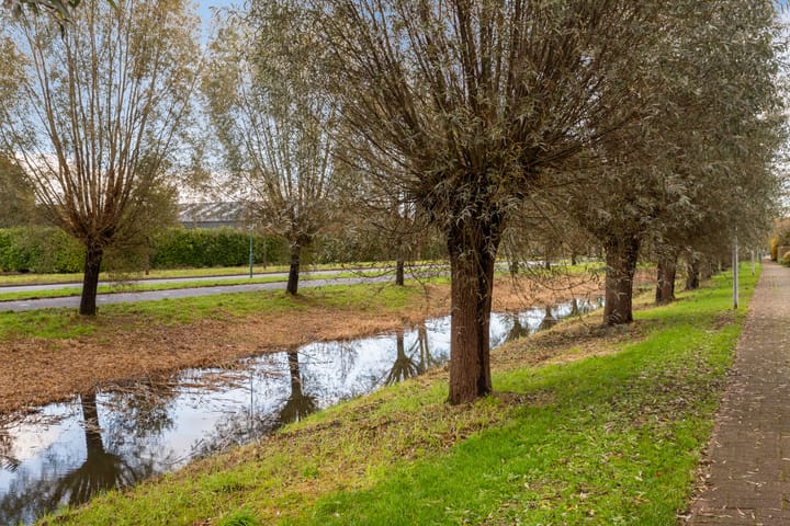 Foto 36 van Skûtsje 29