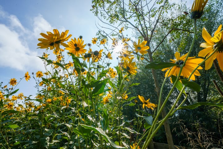 Foto 62 van Baron van Keverbergweg 9