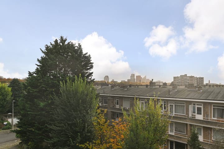 Foto 11 van Laan van Clingendael 134