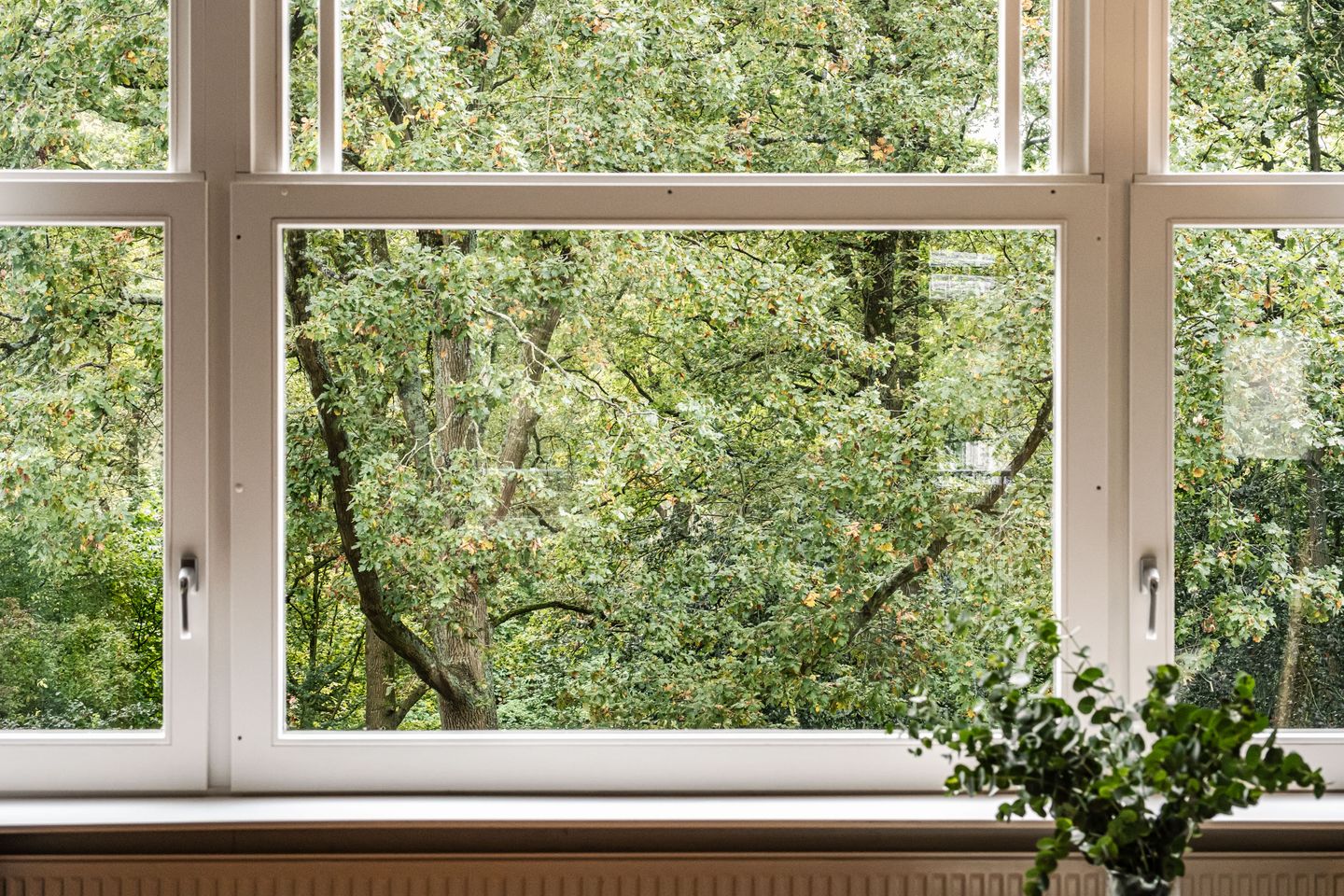 Foto 14 van Orteliuskade 47-2