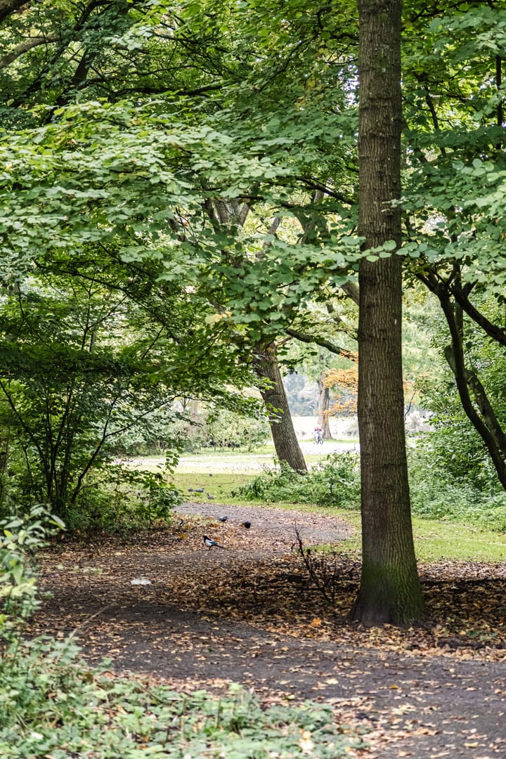 Foto 16 van Orteliuskade 47-2