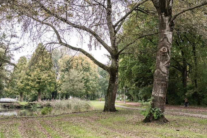 Foto 22 van Orteliuskade 47-2