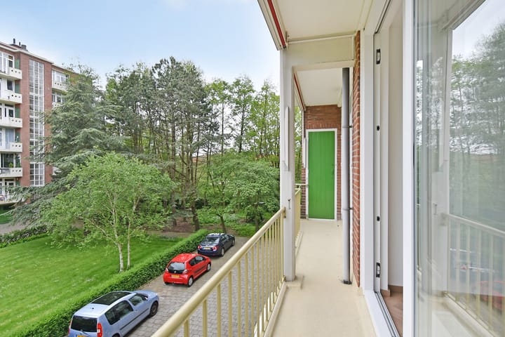 Foto 30 van Ranonkelstraat 29