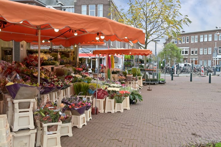 Foto 42 van Ranonkelstraat 29