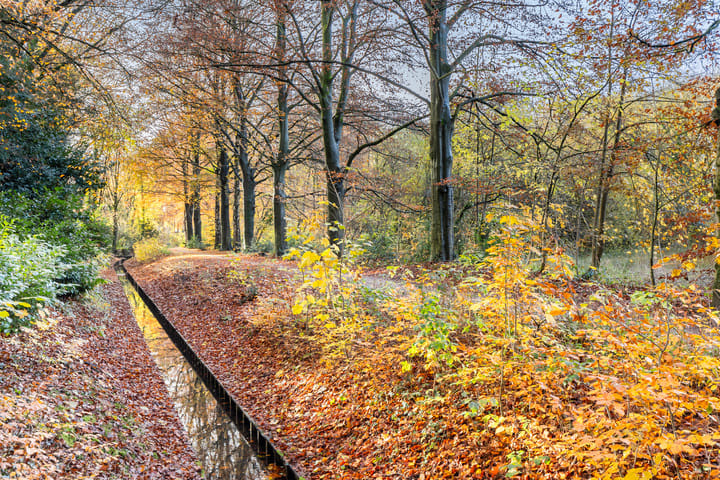 Foto 49 van Ugchelseweg 149