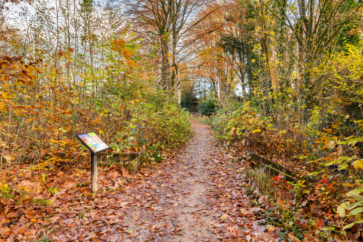 Foto 50 van Ugchelseweg 149