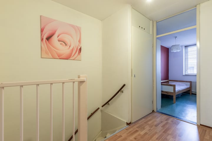 Foto 29 van Linnaeus-serre 13