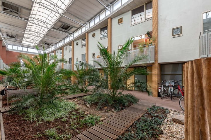 Foto 37 van Linnaeus-serre 13