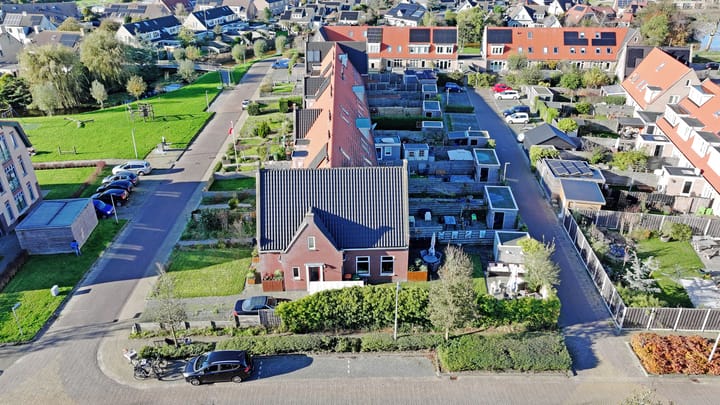 Foto 2 van Distelvlinder 1