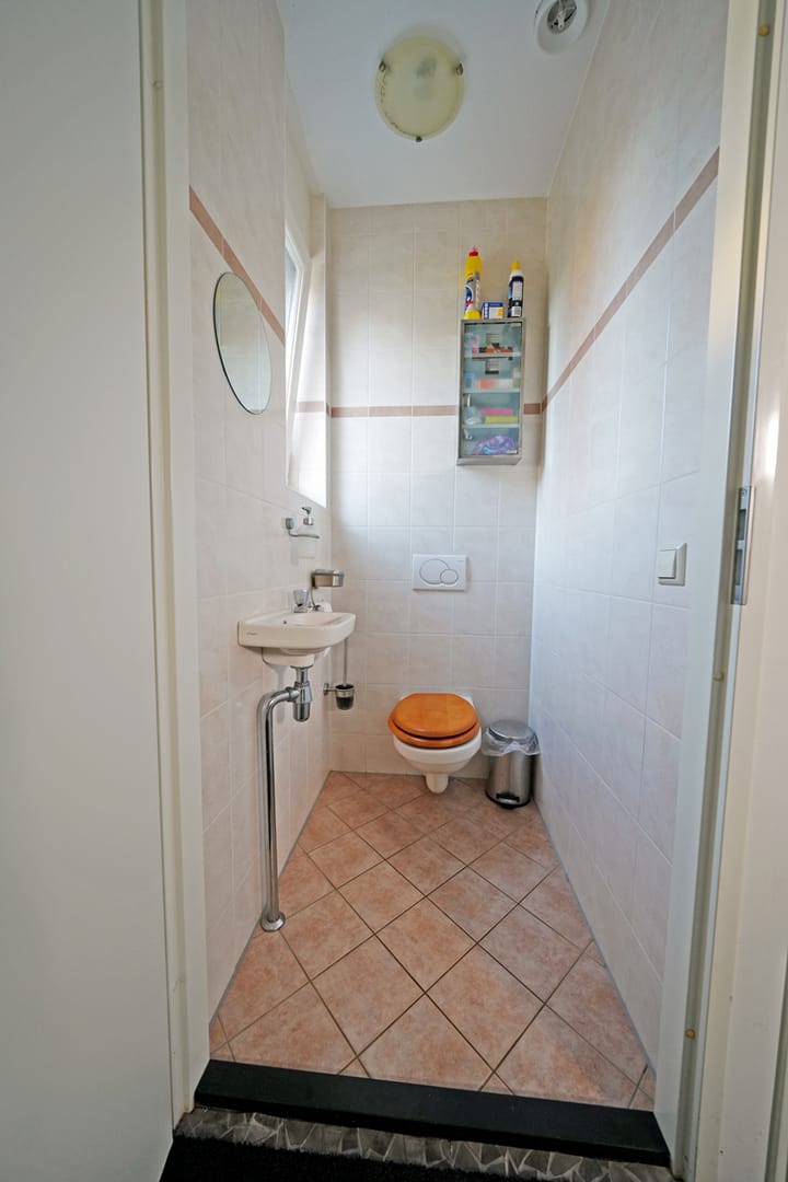 Foto 7 van Distelvlinder 1