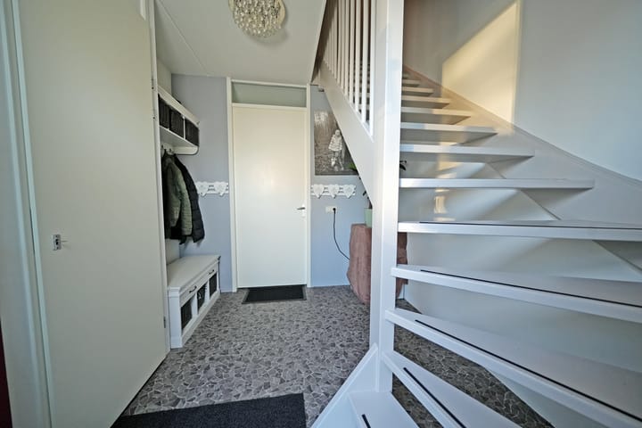 Foto 8 van Distelvlinder 1