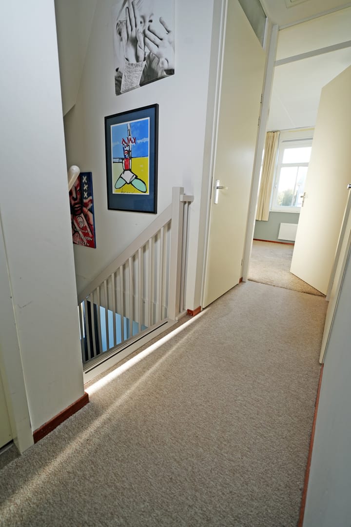 Foto 16 van Distelvlinder 1