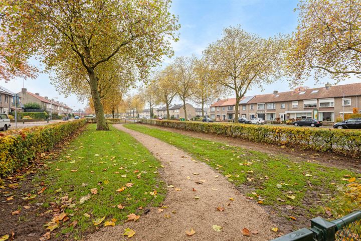 Bekijk foto 40 van Zwanensingel 1