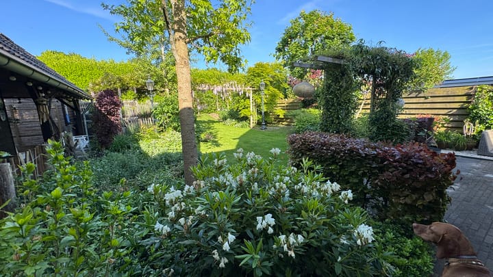 Foto 52 van Bernagie 21