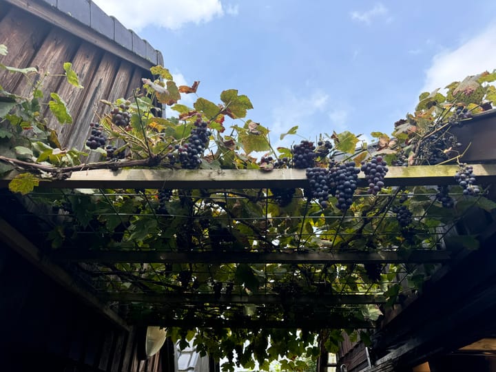 Foto 59 van Bernagie 21