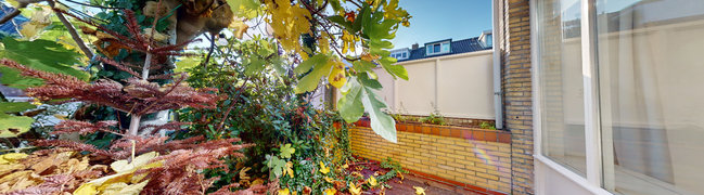 View 360° photo of Tuin of Bachstraat 21