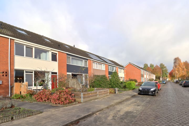 Foto 41 van Lange Voor 19