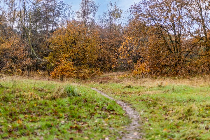 Foto 46 van Marie Trompstraat 18