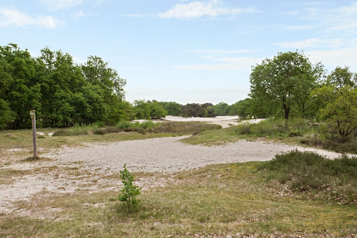 Foto 47 van Marie Trompstraat 18