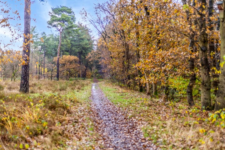 Foto 48 van Marie Trompstraat 18