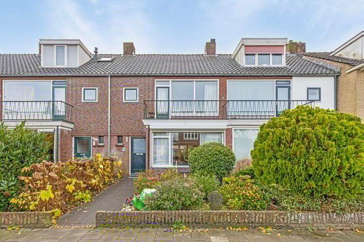 undefined main image