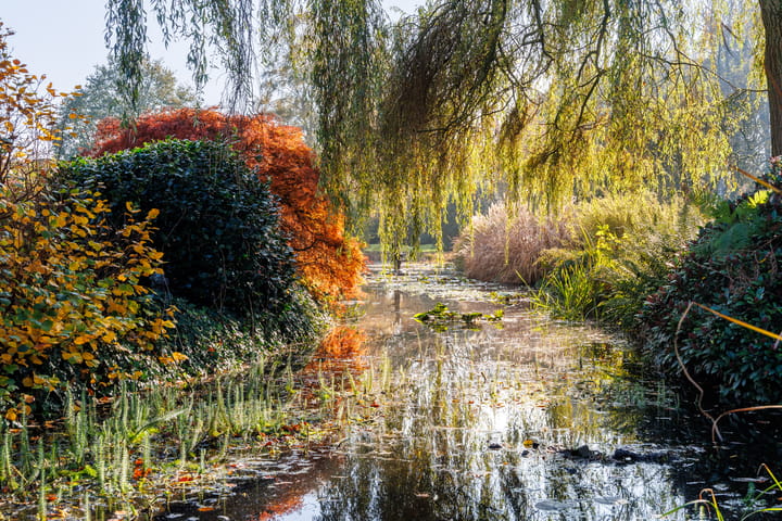 Foto 4 van Langeven 9