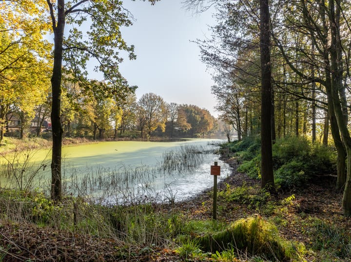 Foto 49 van Langeven 9