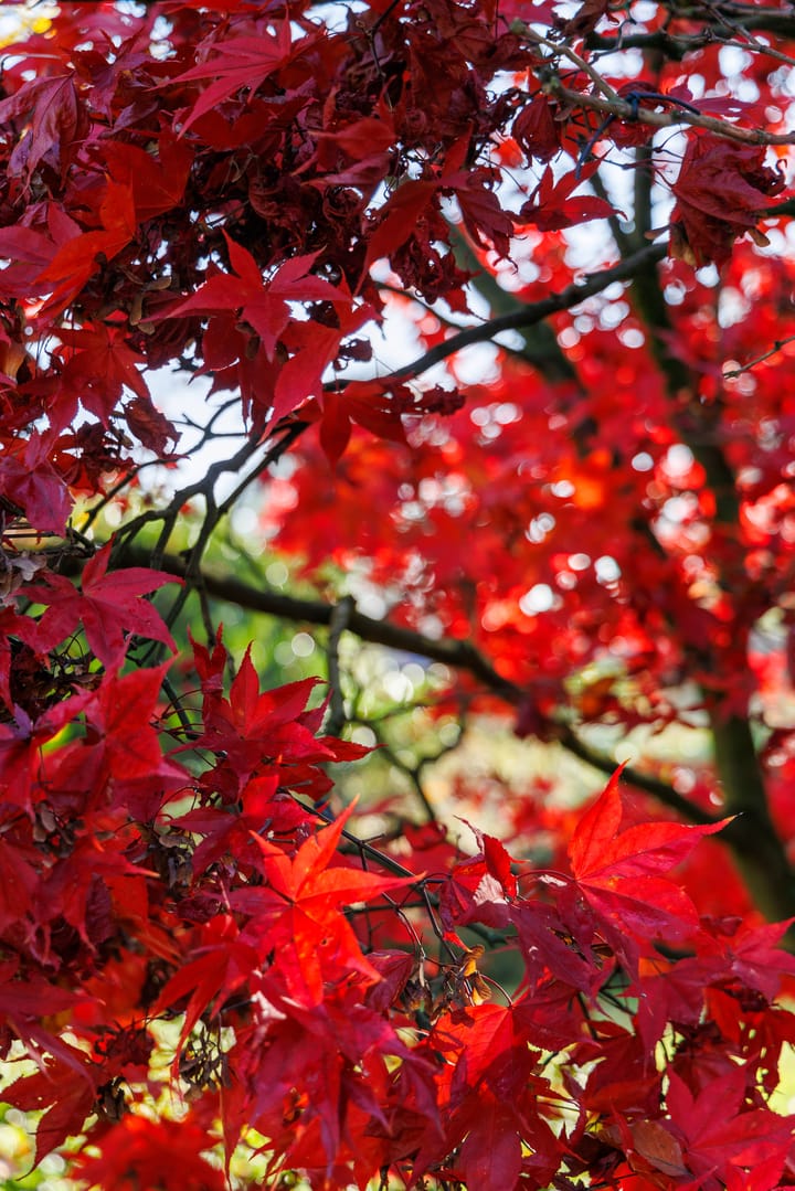 Foto 80 van Langeven 9