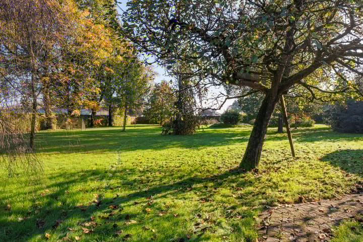 Foto 98 van Langeven 9