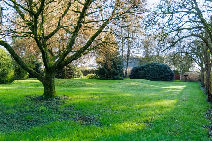 Foto 103 van Langeven 9