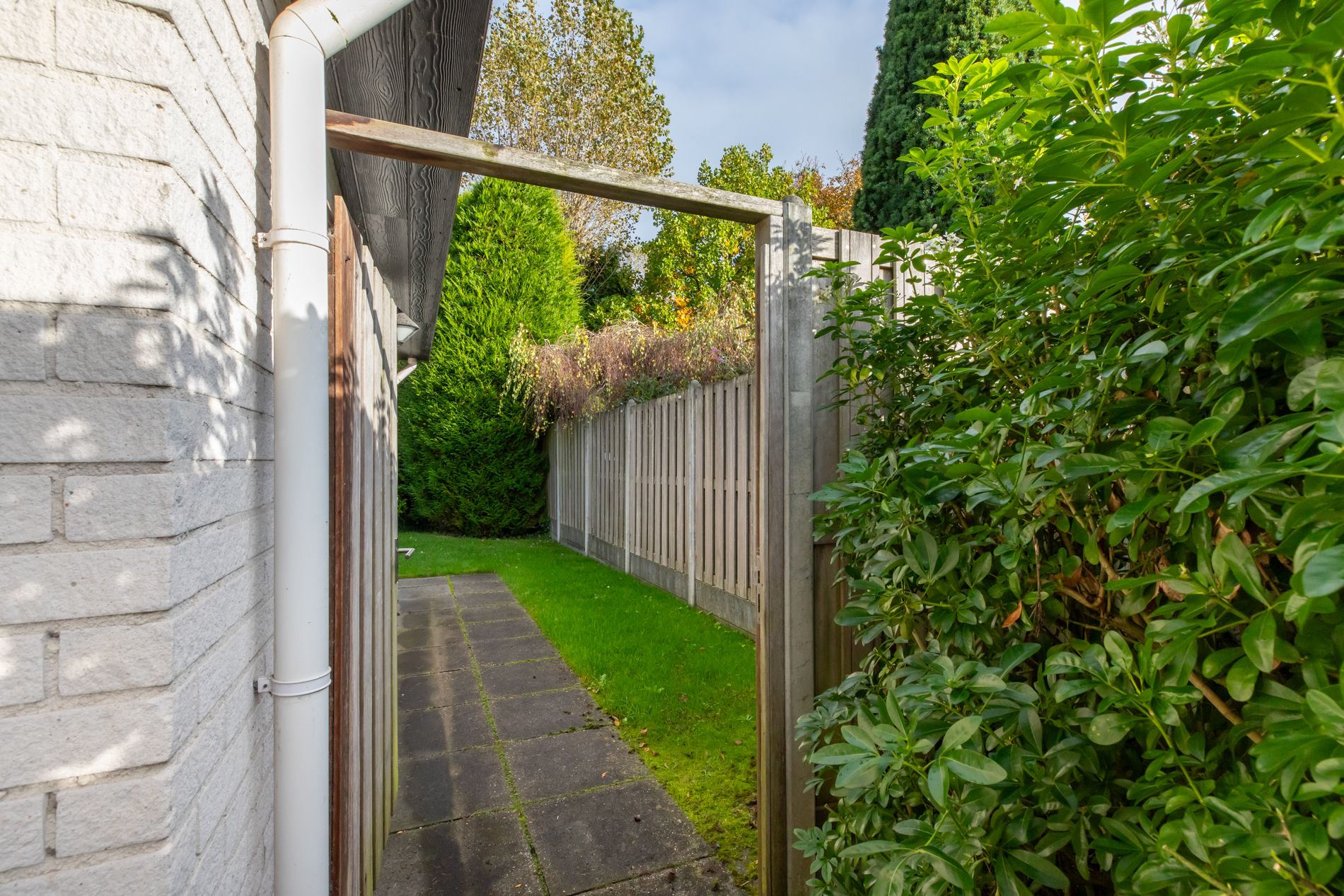 Foto 48 van Ellebooglaan 10