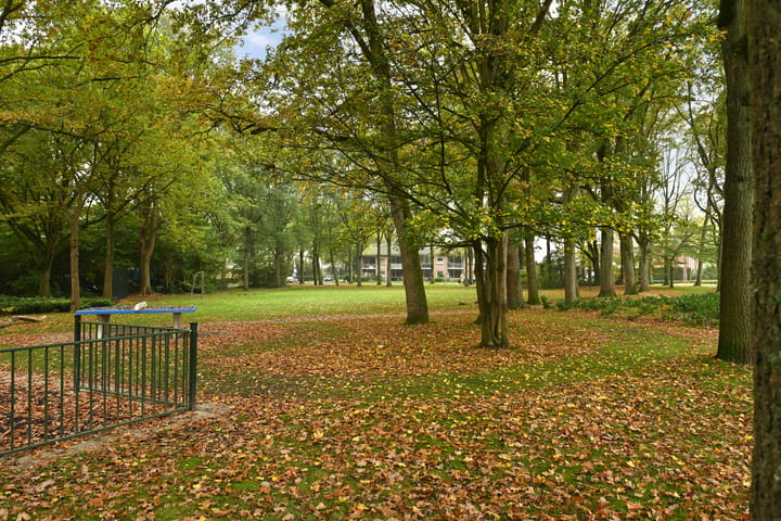 Foto 31 van Schelpstraat 61