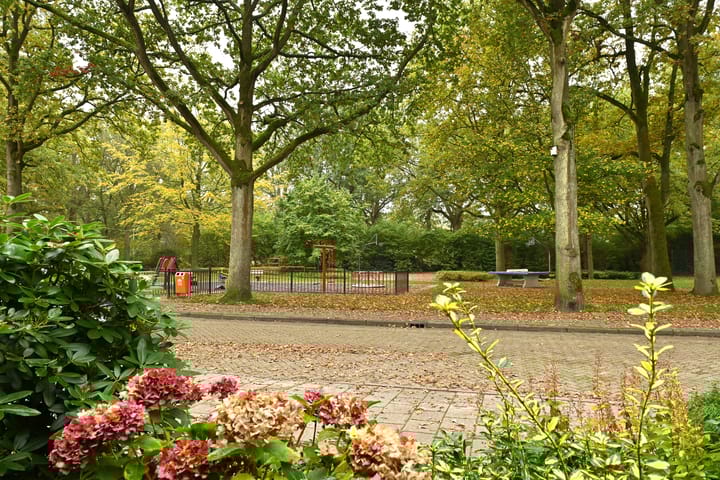 Foto 32 van Schelpstraat 61