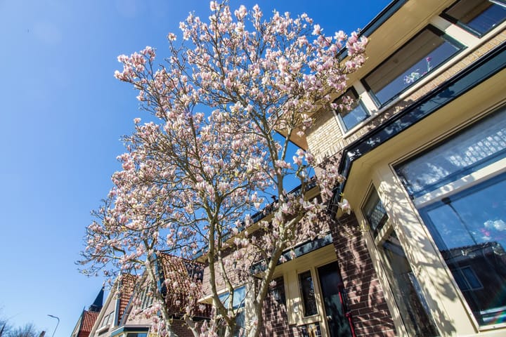 Foto 5 van Zesstedenweg 128