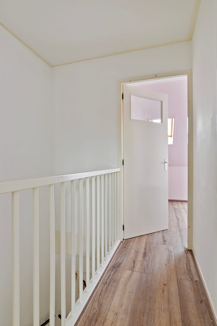 Foto 25 van Goudzoeker 8