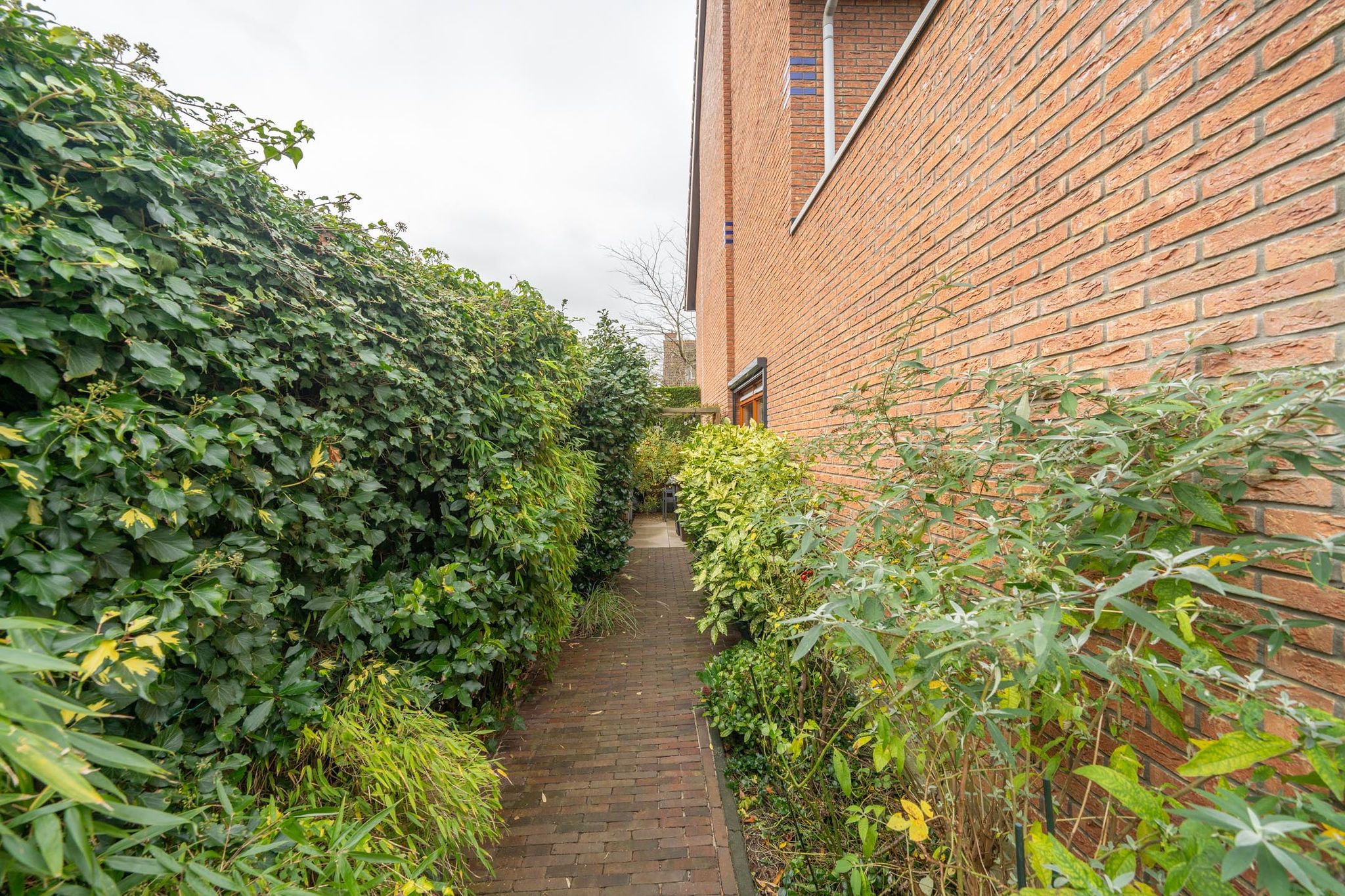 Foto 39 van Kamillehof 2